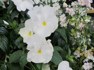 画像 019.jpg
